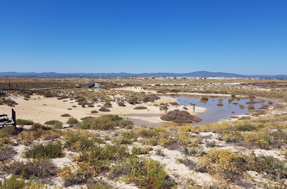 Olhao Algarve Portugal 8