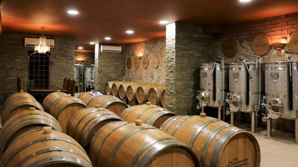 Carvoeiro wine tasting-lagoa