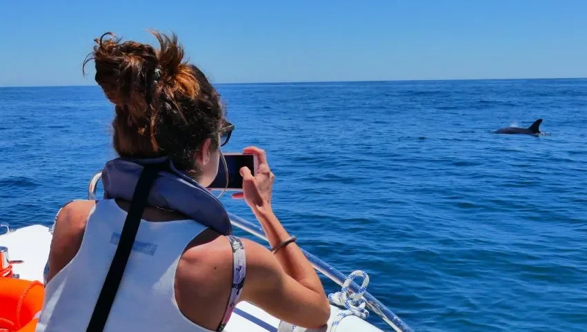 Dolphin spotting. Algarve activities and sights