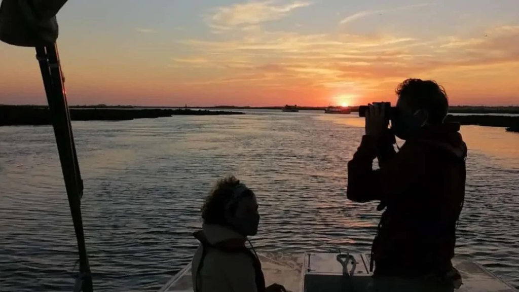 Ria Formosa sunset boat trip activities Faro