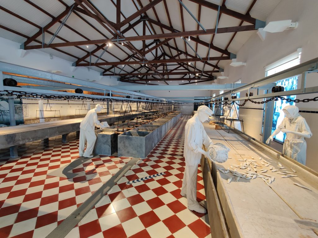 museu de portimao - sights and tips for Portimão Portugal.