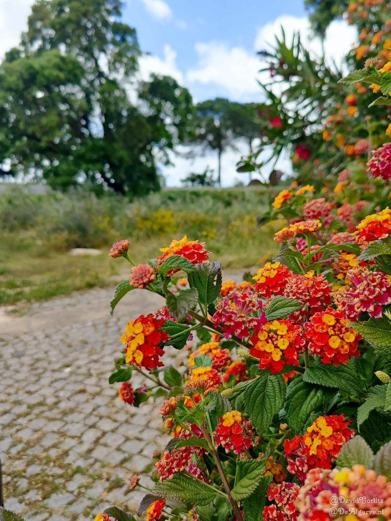 Monchique, Algarve, Portugal
