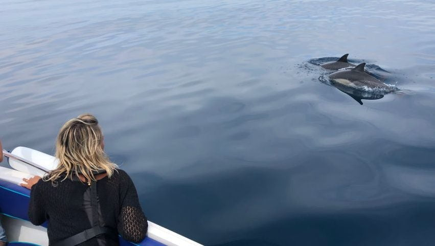 Best Boat Tours Faro Algarve