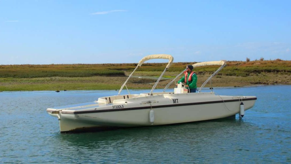 Best Boat Tours Faro Algarve