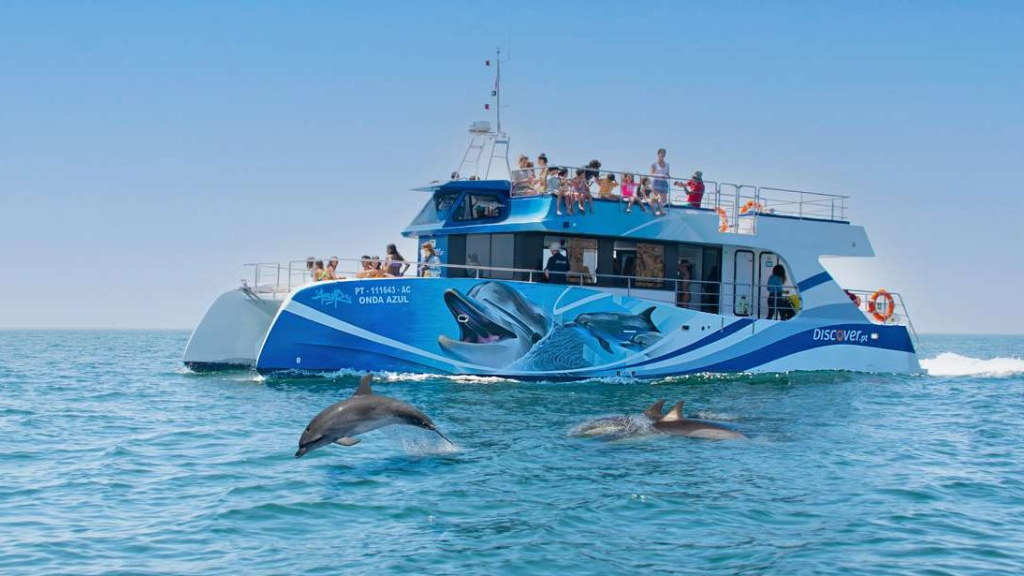 dolphin spotting boat trip lagos algarve