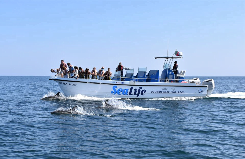 dolphin spotting boat trip lagos algarve