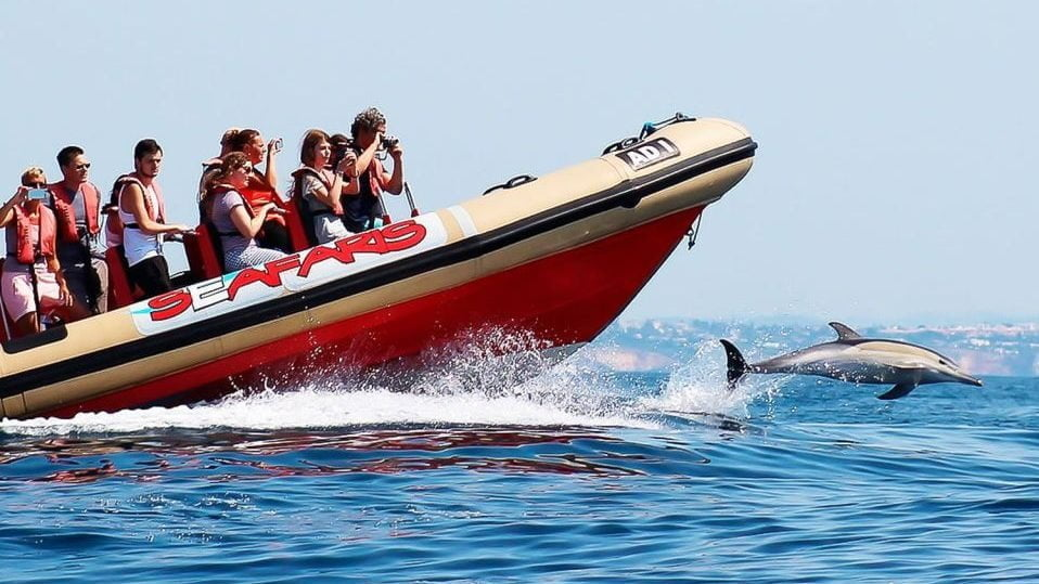dolphin spotting boat trip lagos algarve