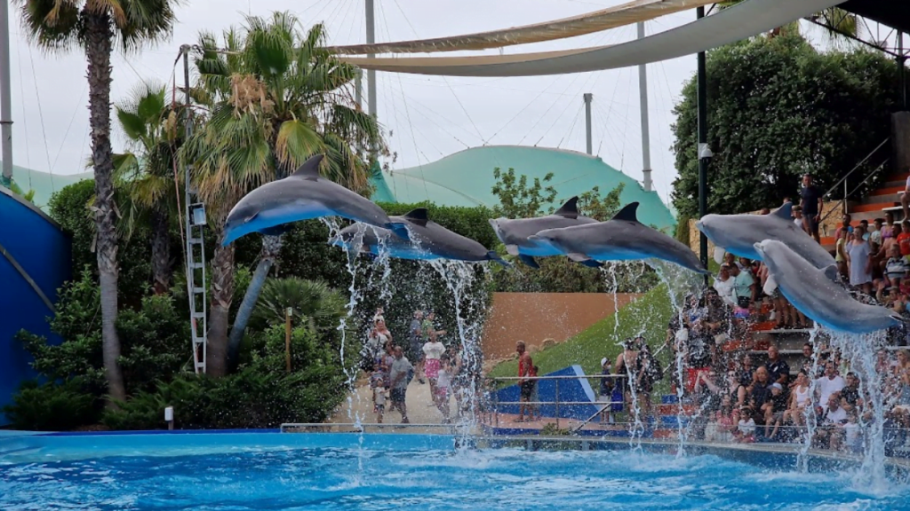 Zoomarine Algarve - Waterpark Algarve Portugal tickets discount