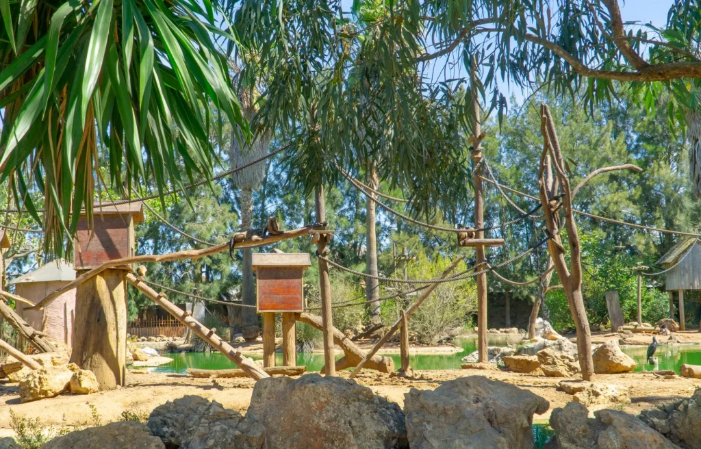Zoos Algarve - Zoo de Lagos