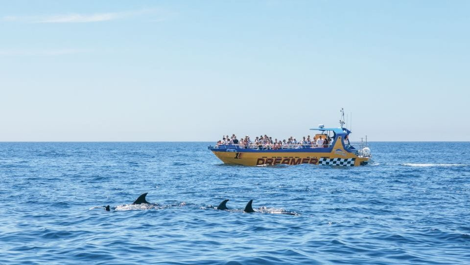 Multiple caves + dolphin spotting with
Dream Wave Algarve