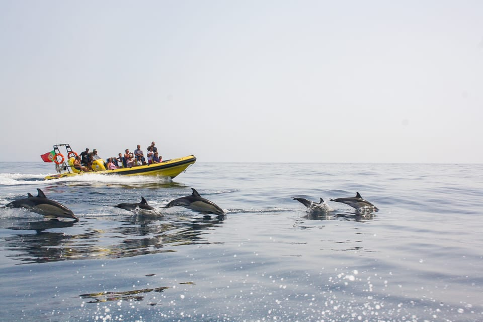 1. Benagil cave + dolphin spotting with
Dream Wave Algarve