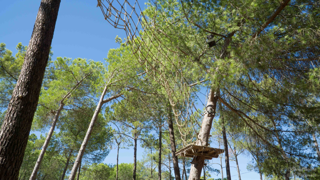 high rope course tree top adventure park Algarve Lagos Albufeira