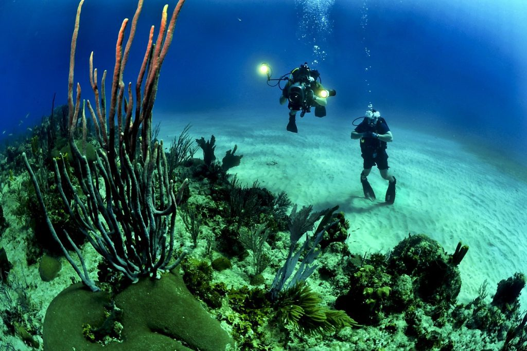 scuba diving Algarve diving schools
