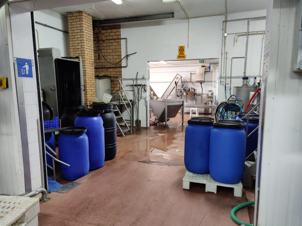 Hélder Madeira olive factory in Tavira olive tasting