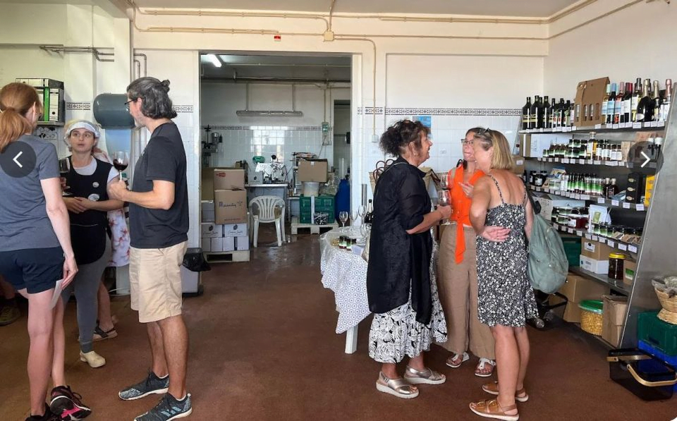 Hélder Madeira olive factory tour in Tavira with olive tasting