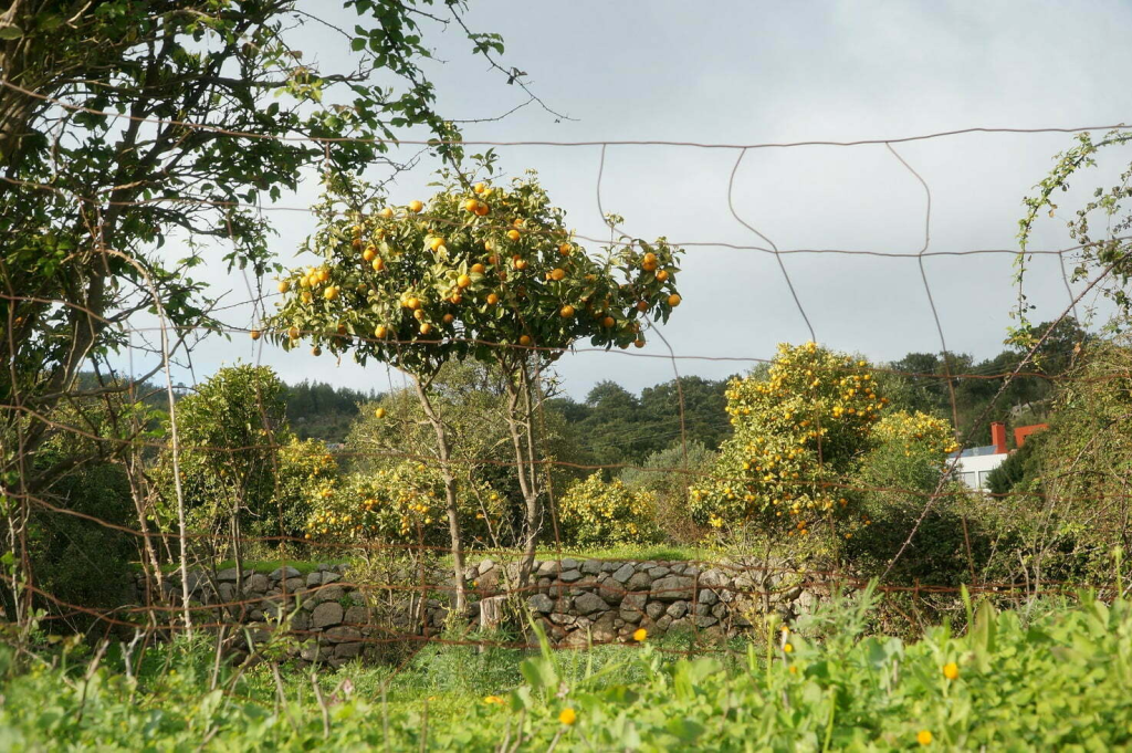 Algarve winter season